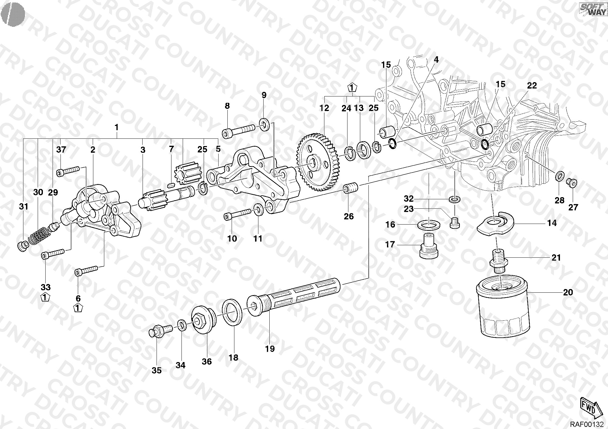 Oil Pump - Filter