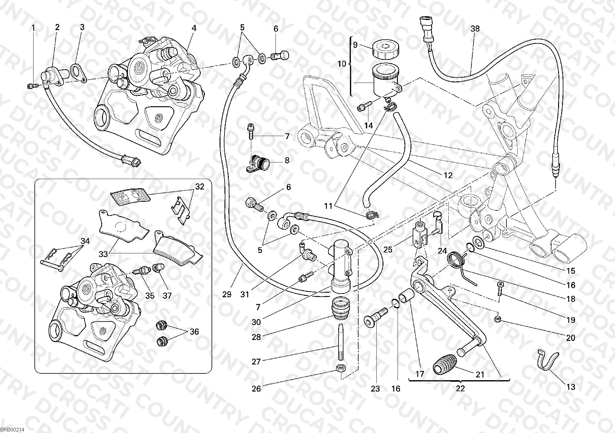 Rear Brake System
