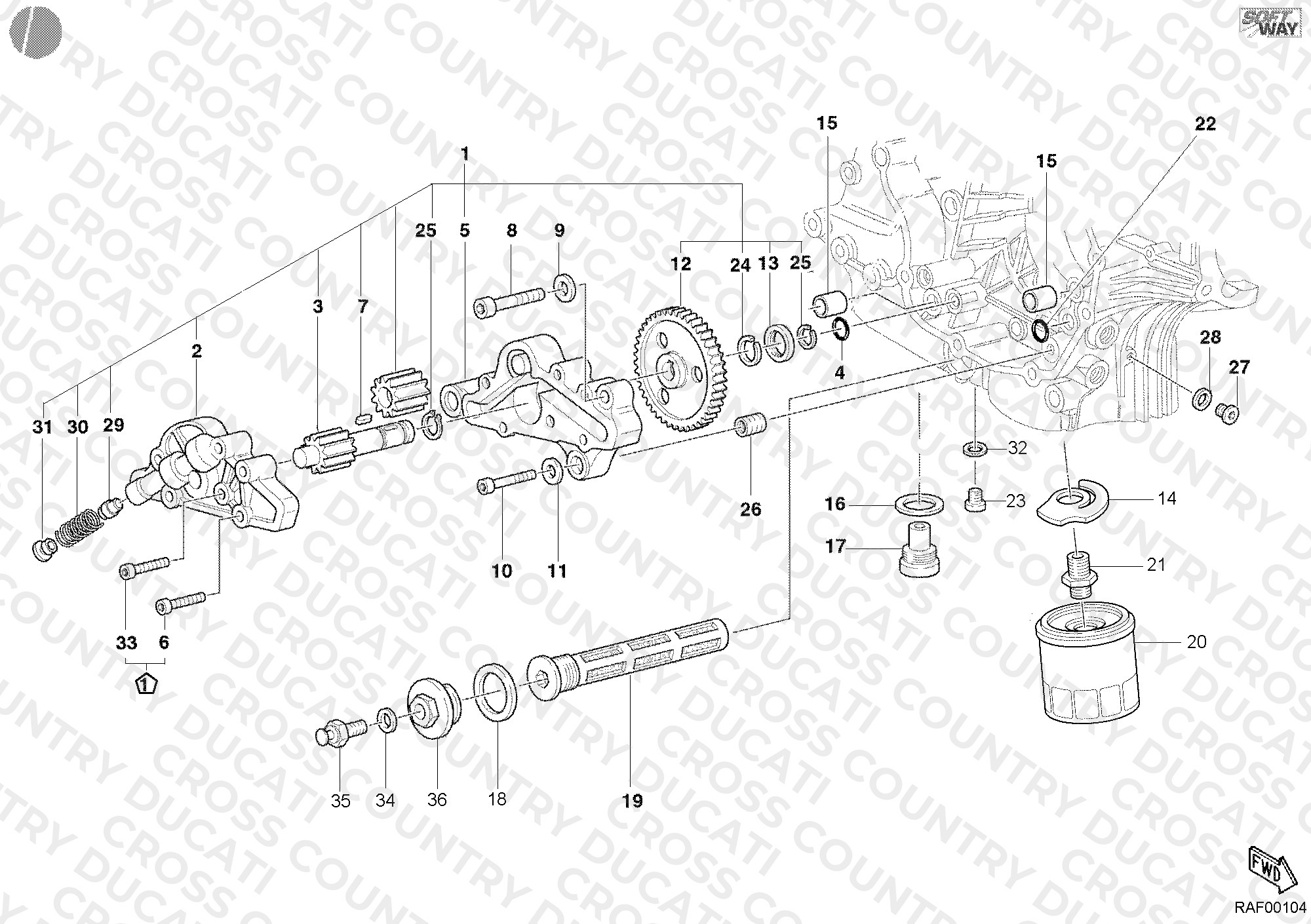Oil Pump - Filter