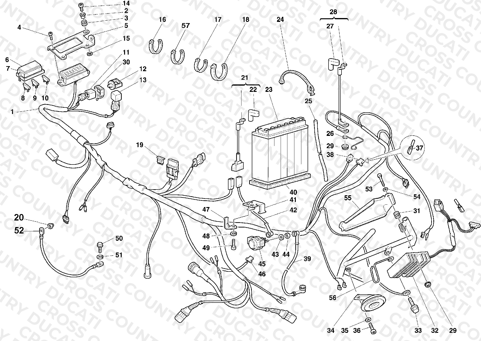 Wiring Harness