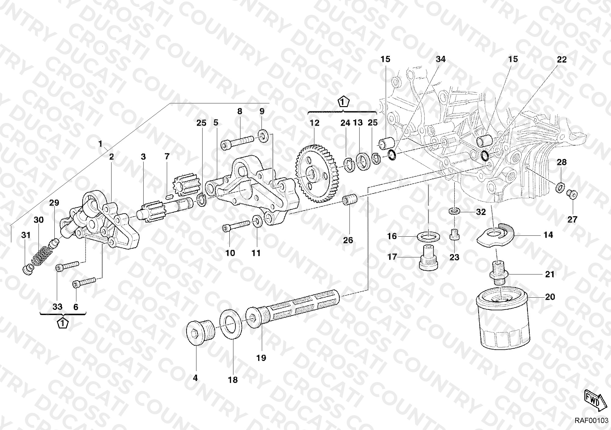 Oil Pump - Filter