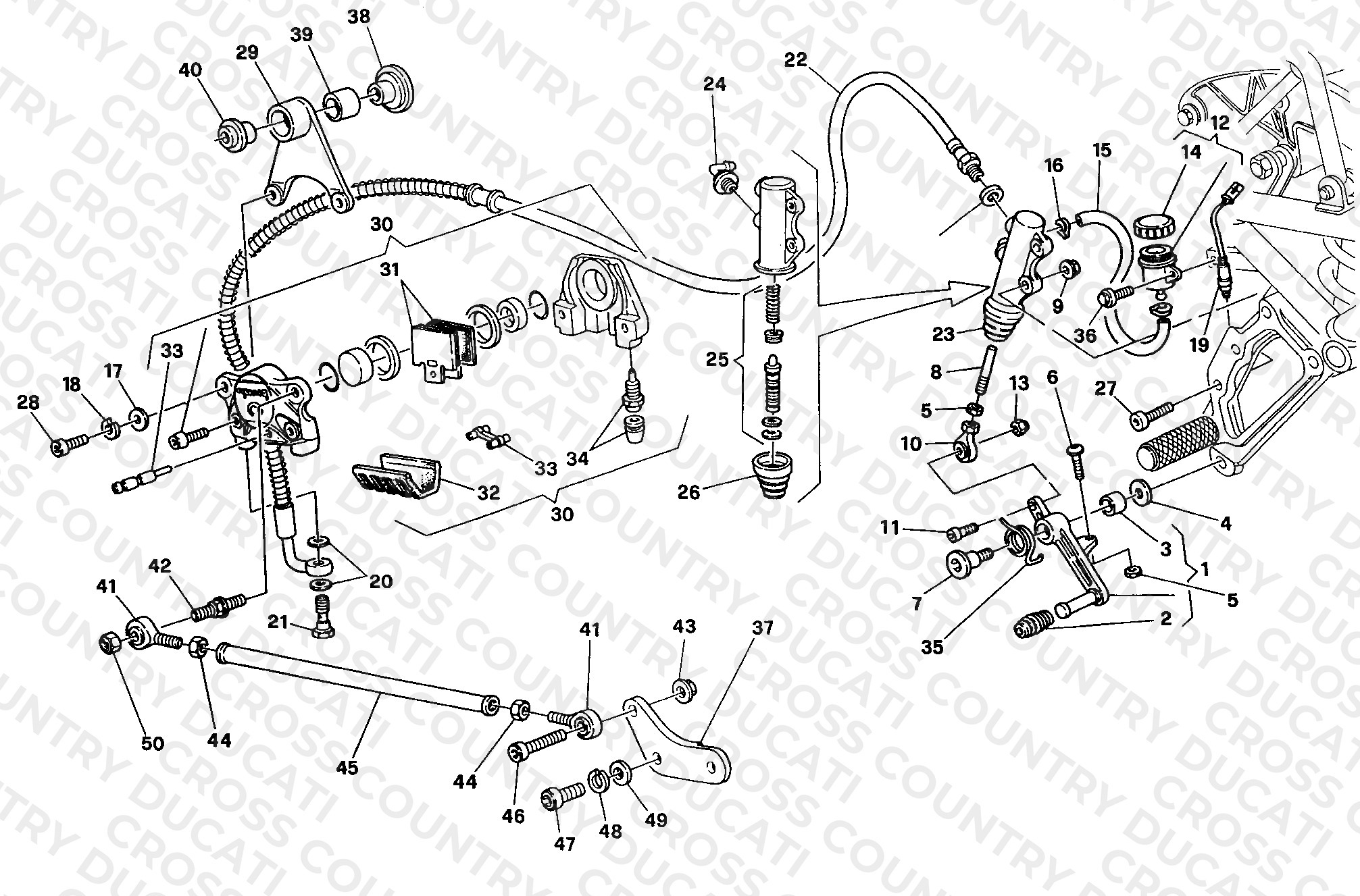 Rear Brake System