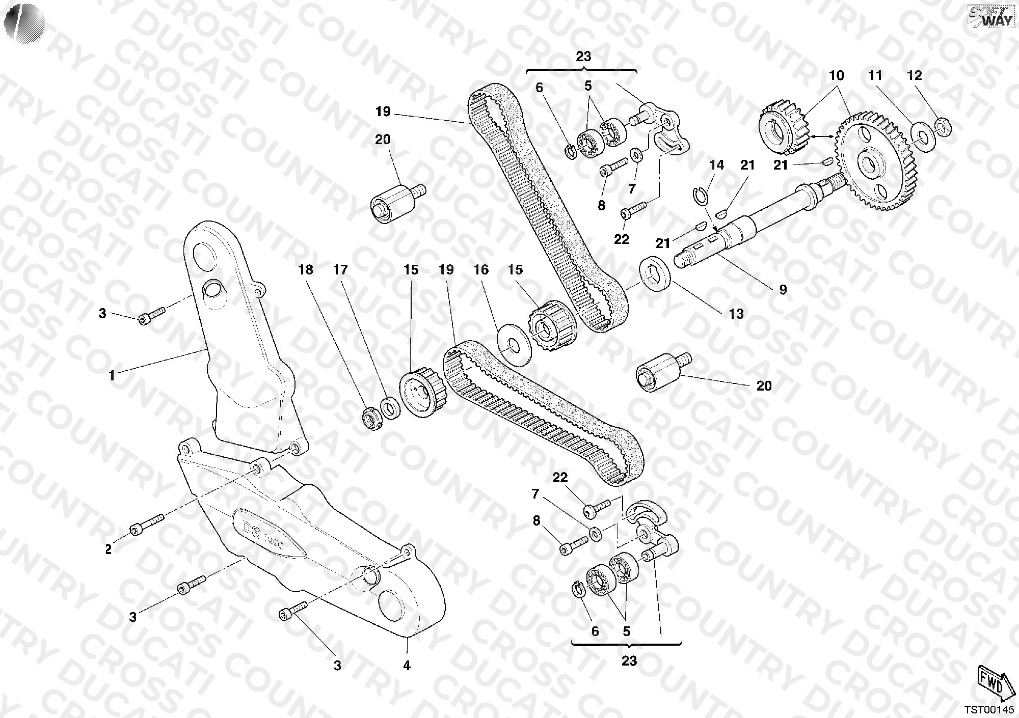 Timing Belt