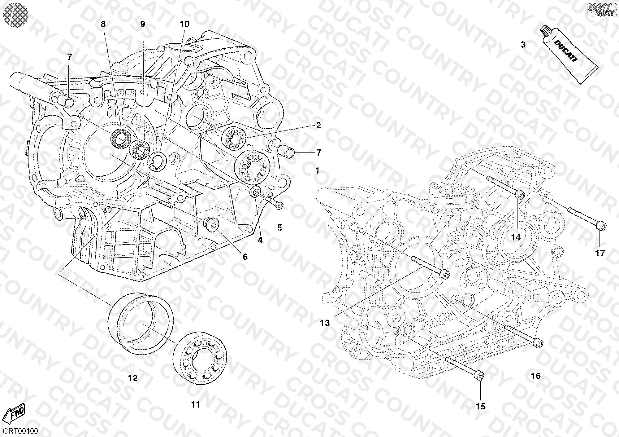 Crankcase Bearings