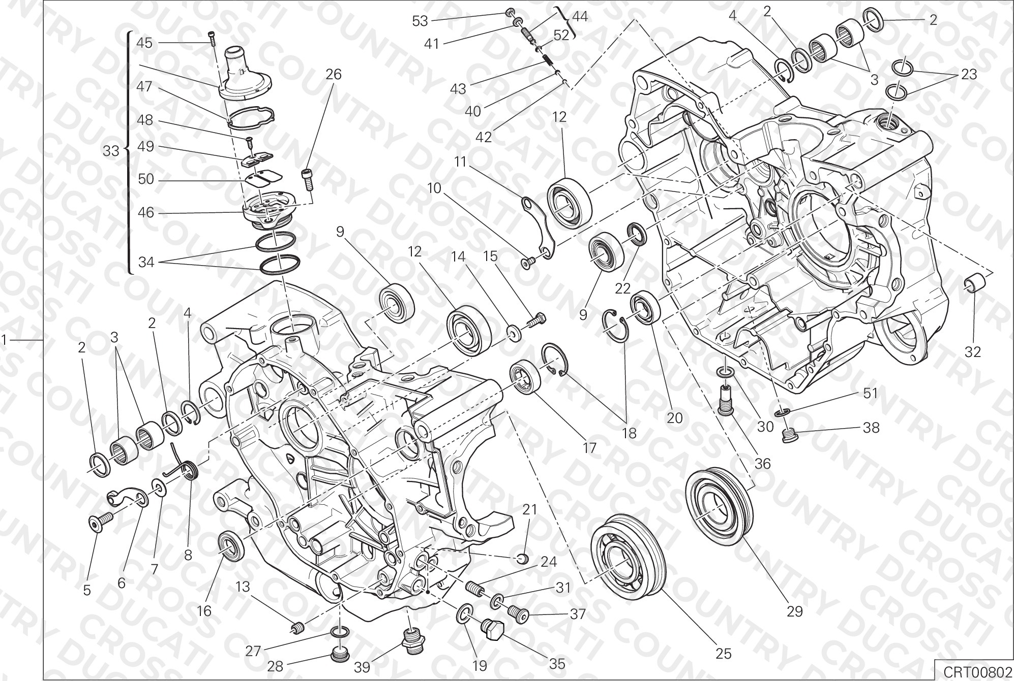 Complete Half-Crankcases Pair