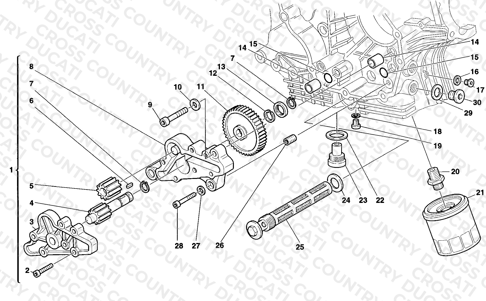 Oil Pump - Filter