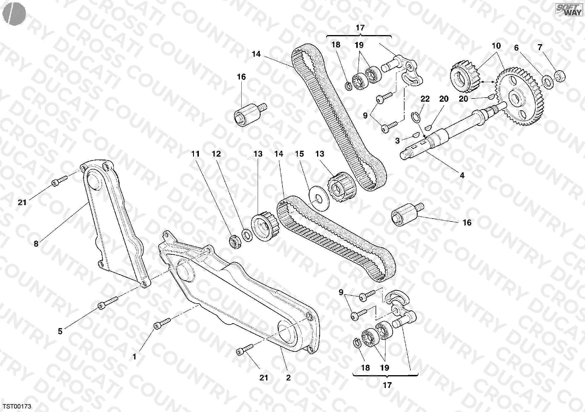 Timing Belt