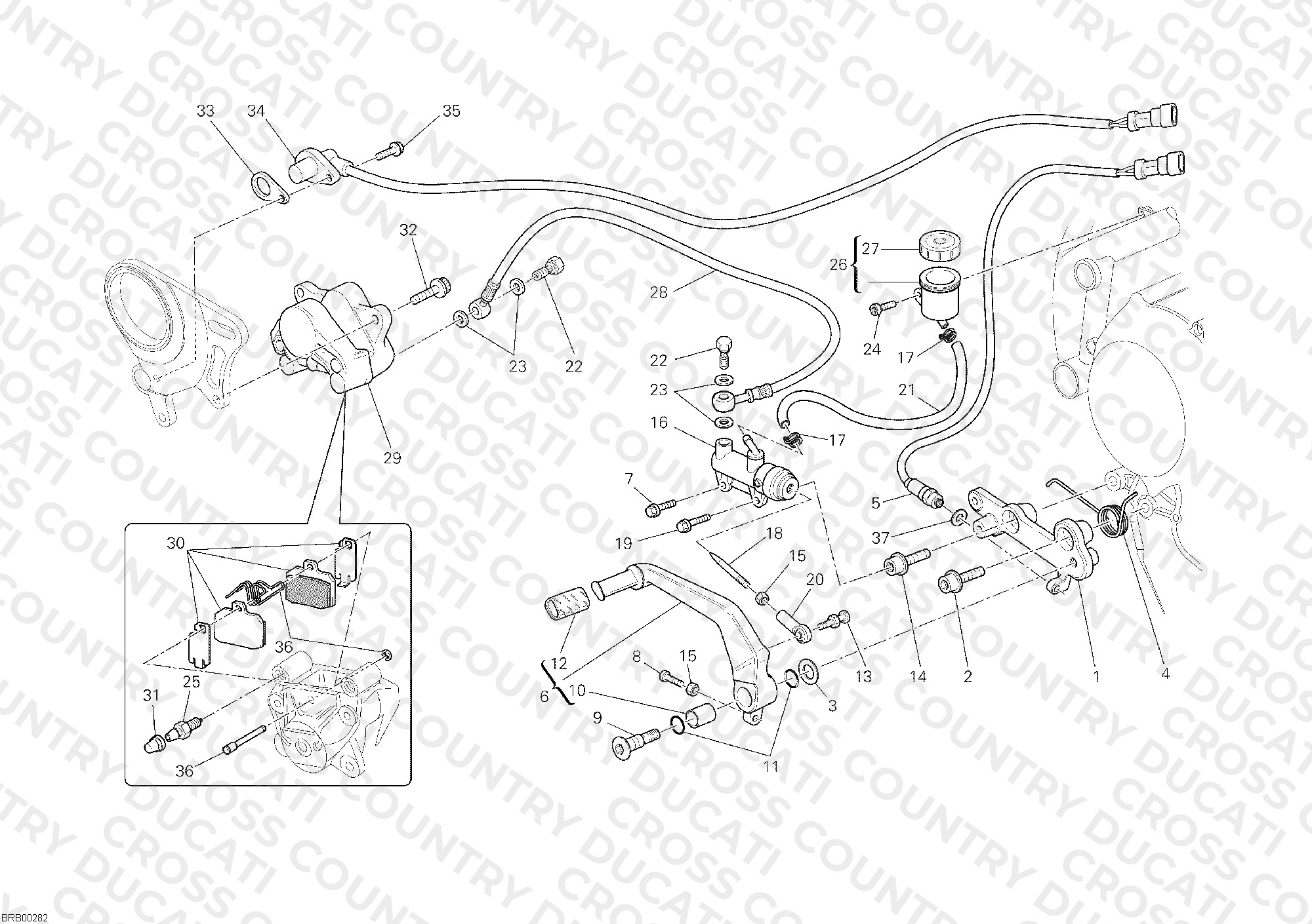 Rear Brake System