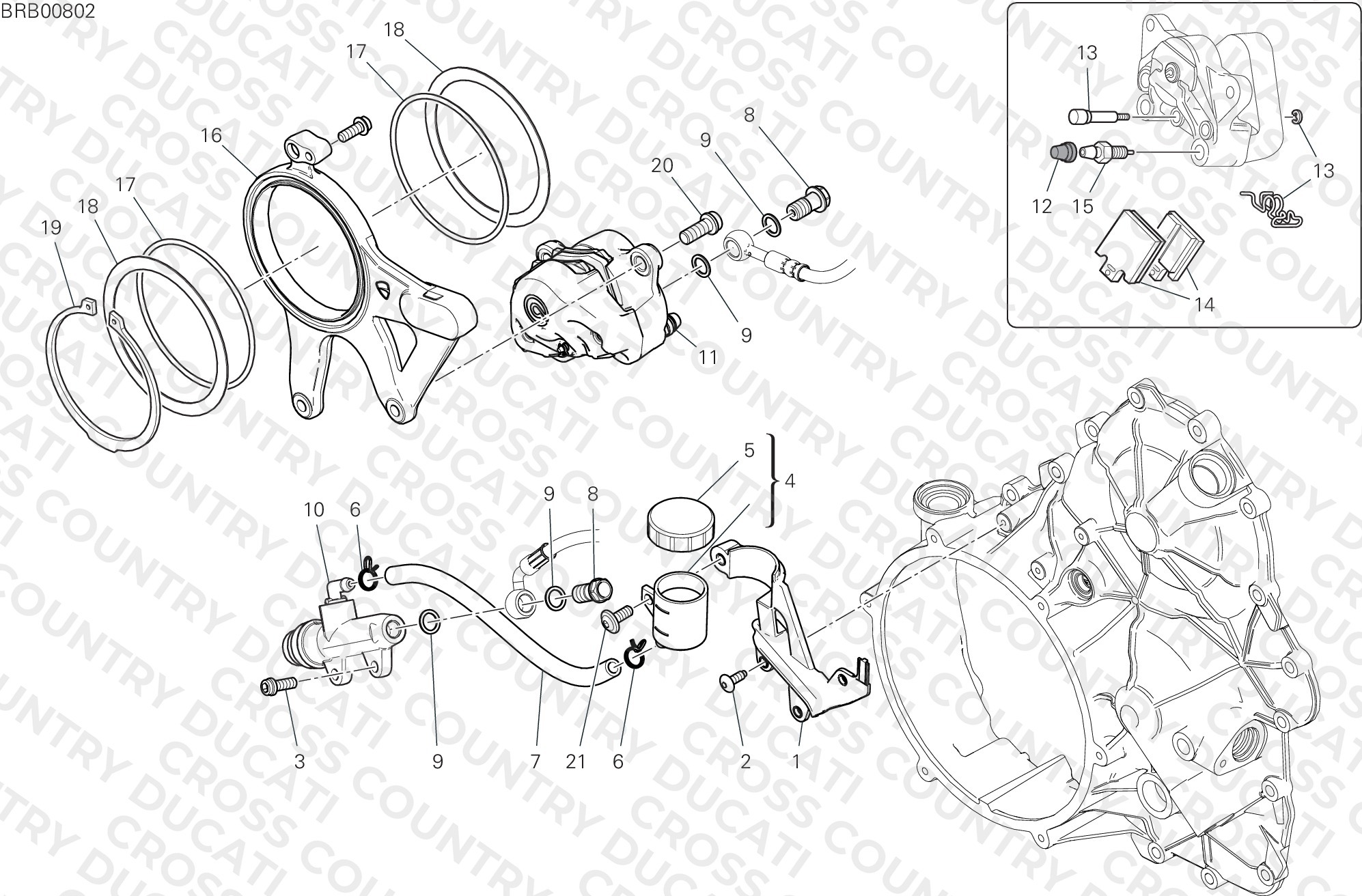 Rear Brake System