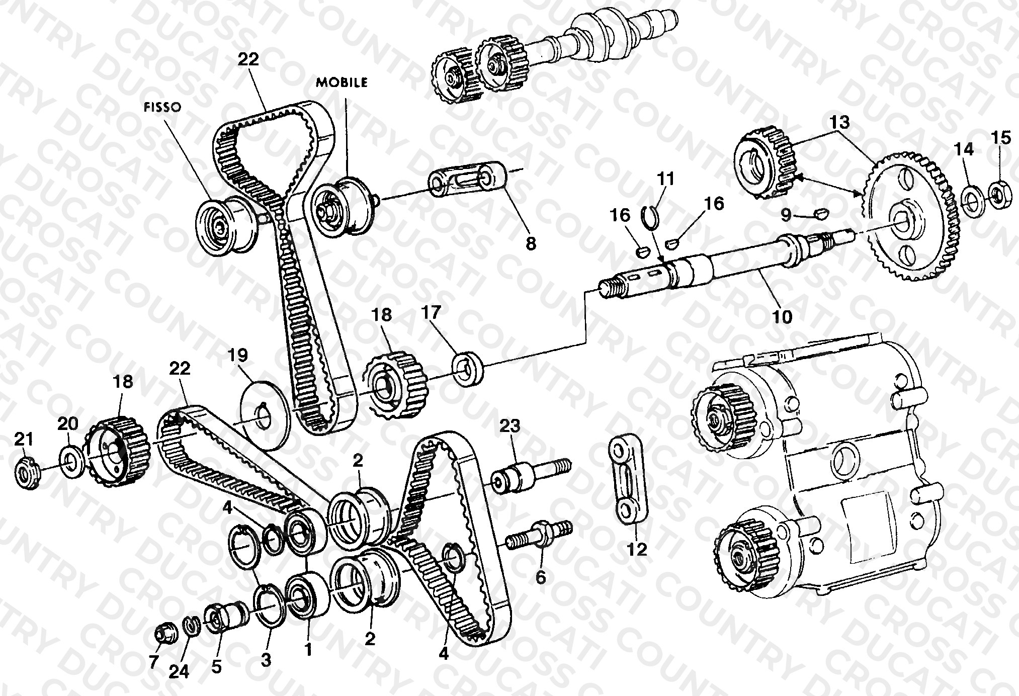 Timing Belt