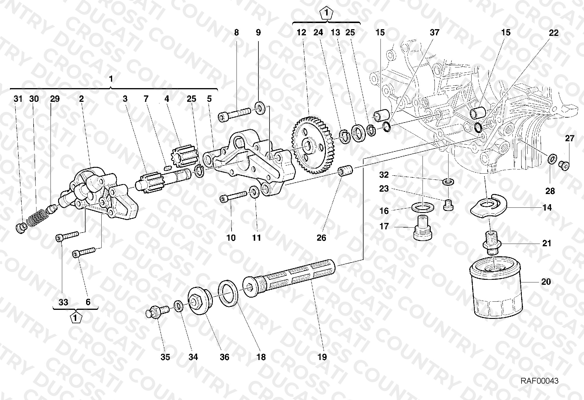 Oil Pump - Filter
