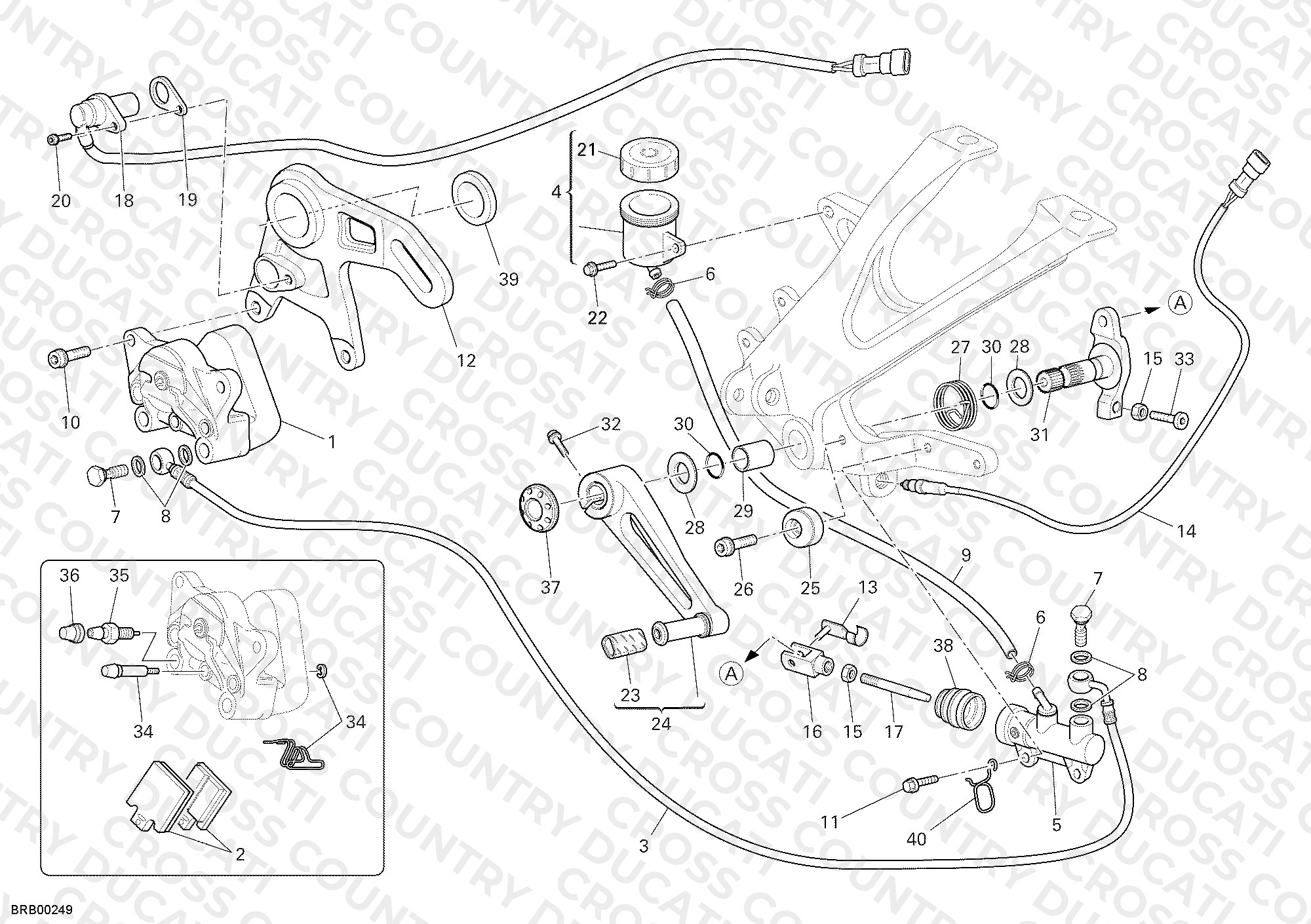 Rear Brake System