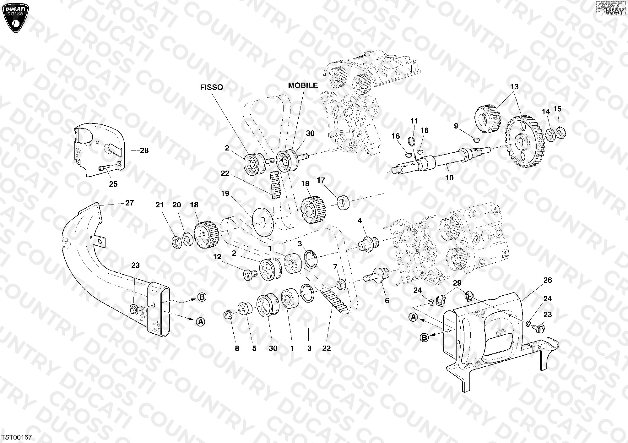 Timing Belt