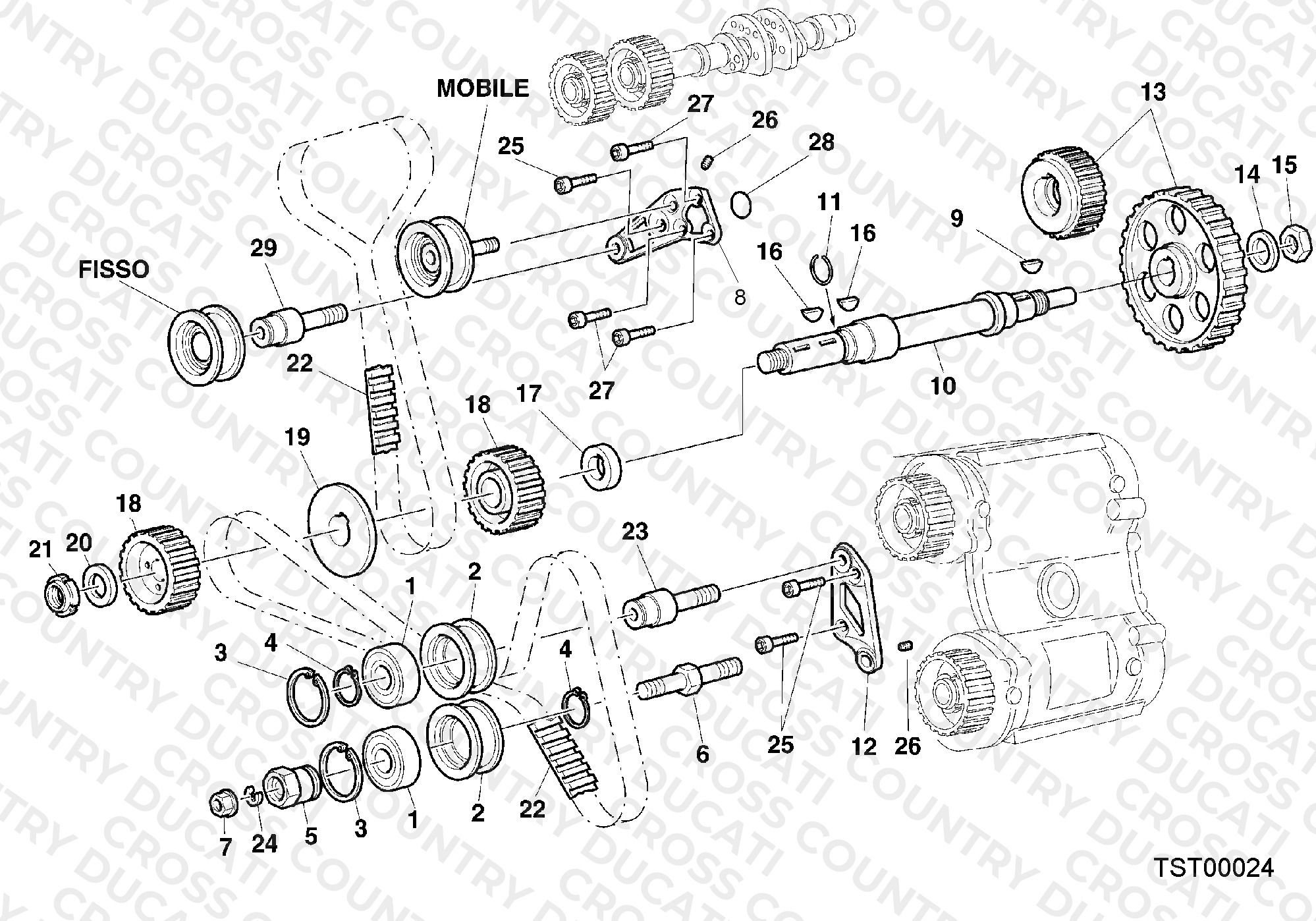 Timing Belt