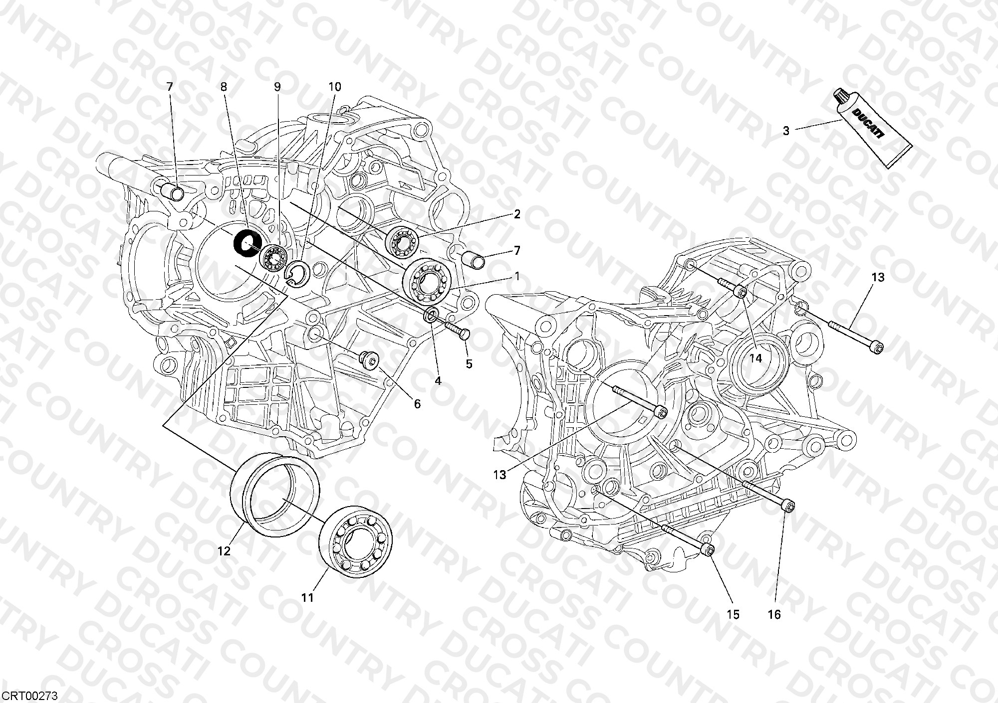 Crankcase Bearings