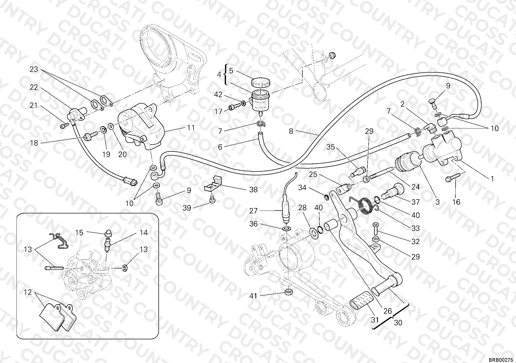 Rear Brake System