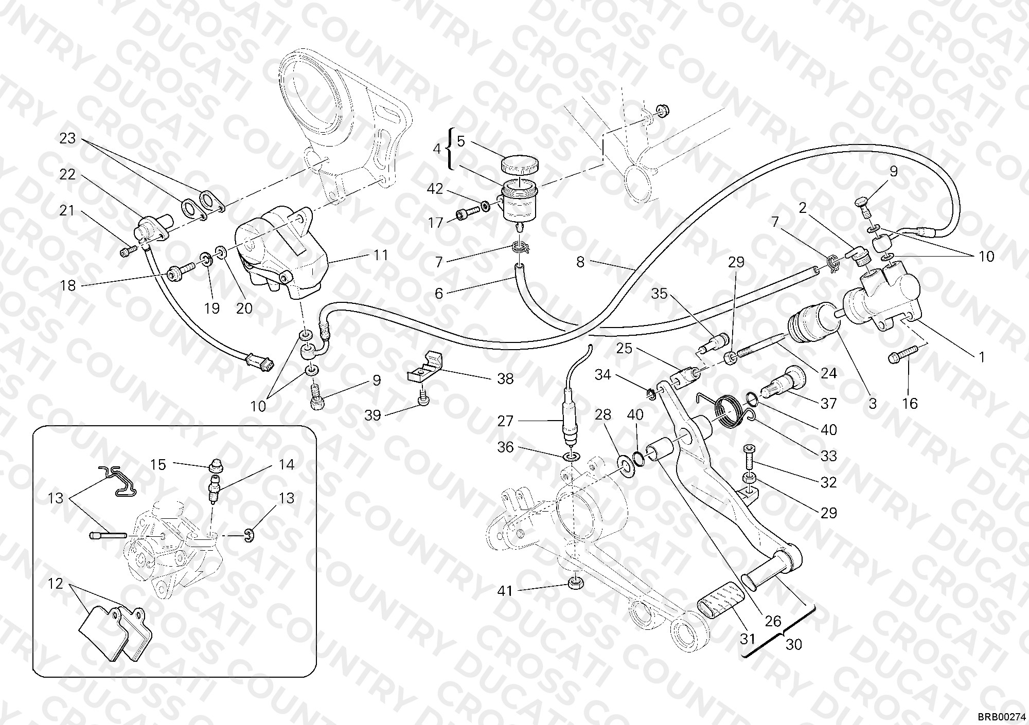 Rear Brake System