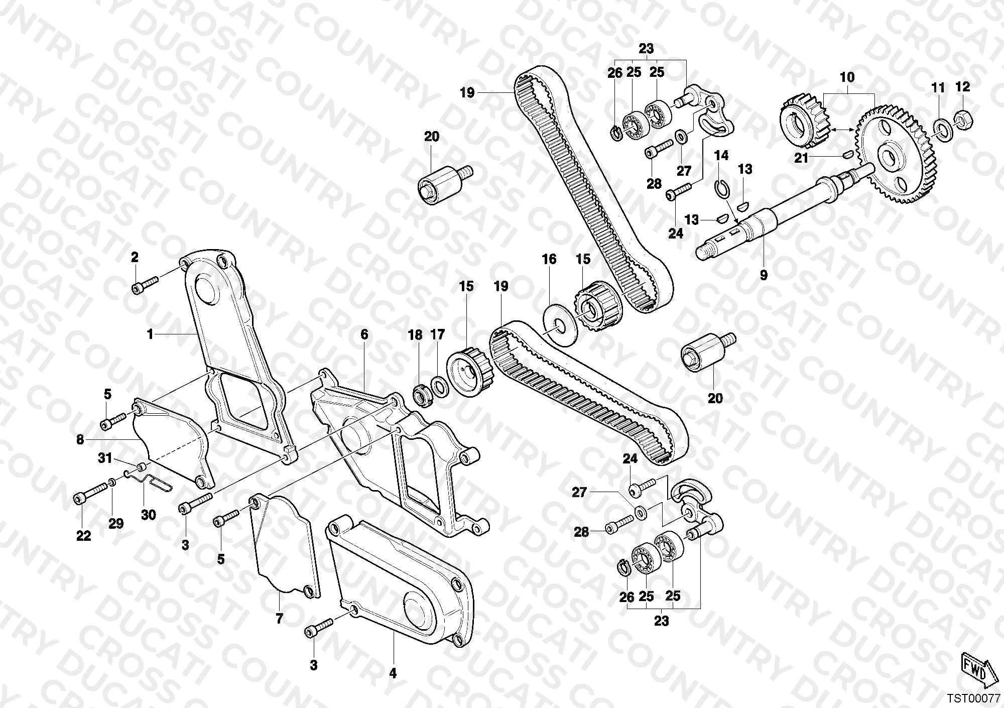 Timing Belt
