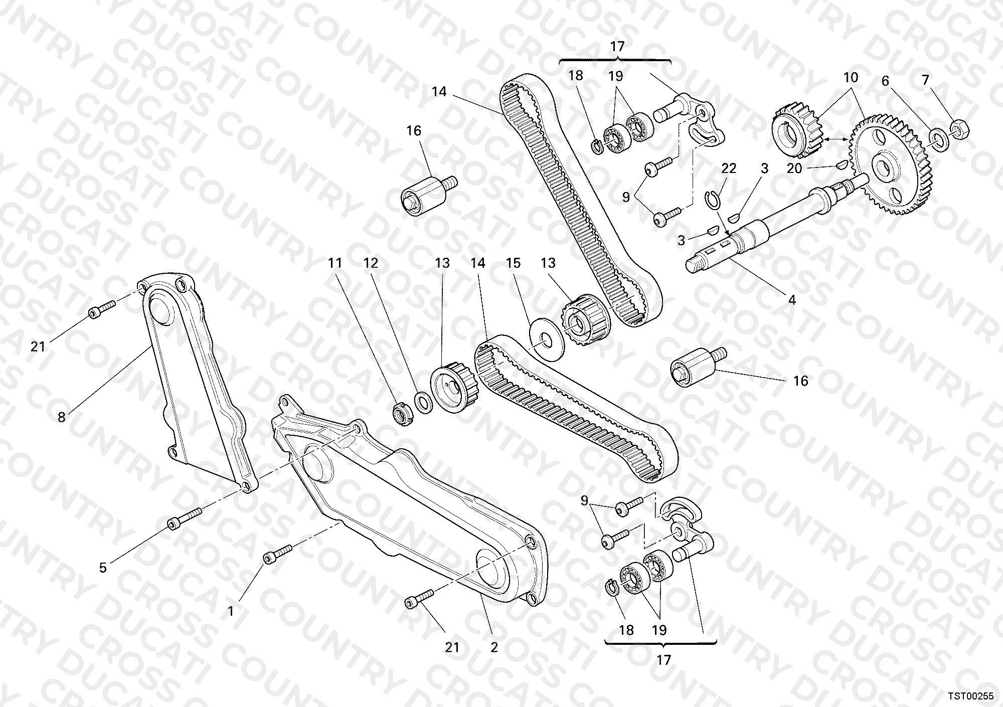 Timing Belt