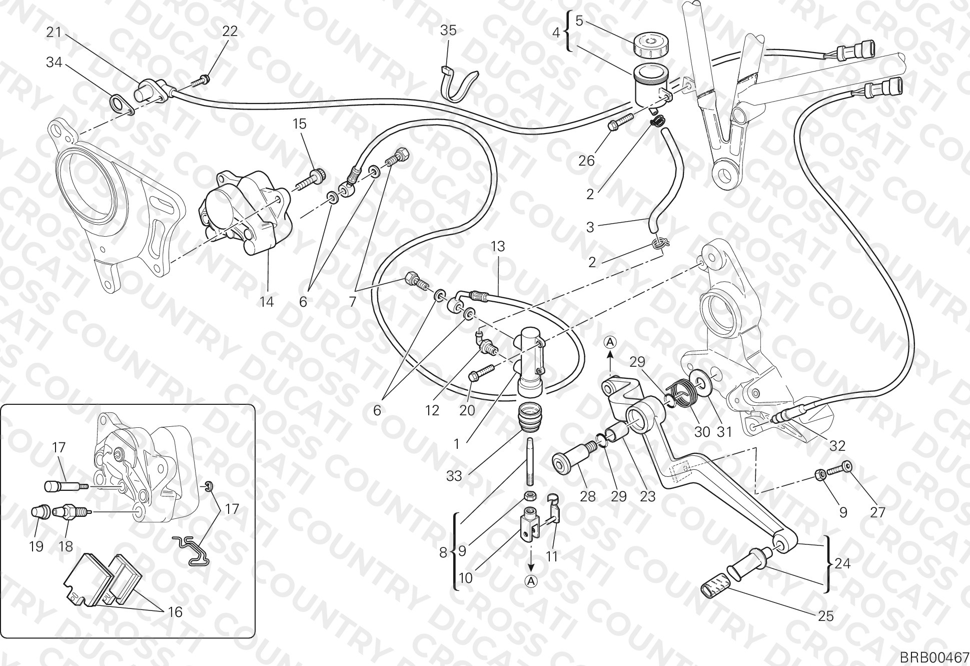 Rear Brake System