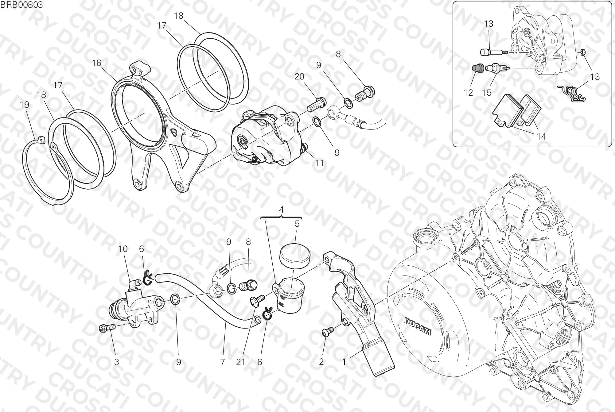 Rear Brake System