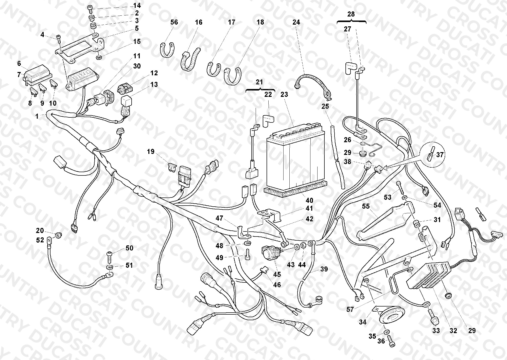 Wiring Harness