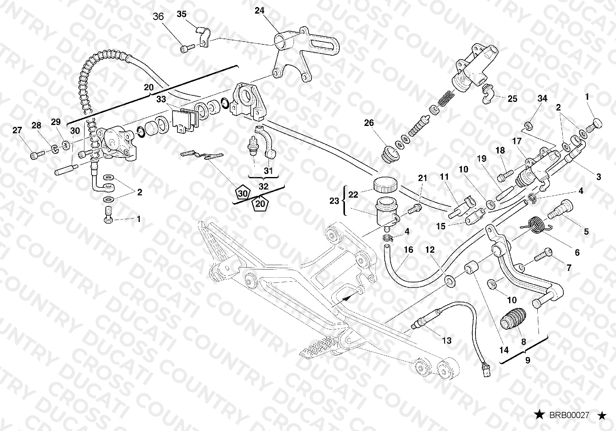 Rear Brake System