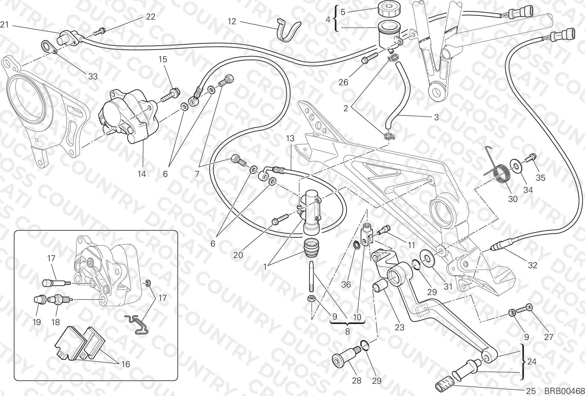 Rear Brake System