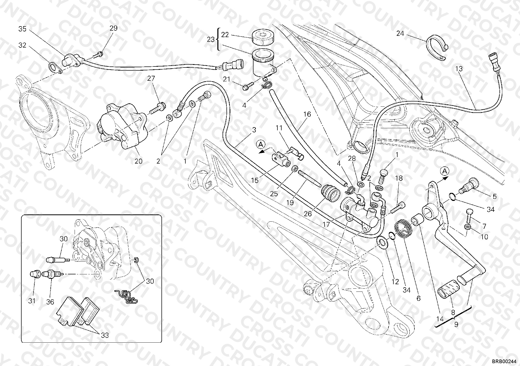 Rear Brake System