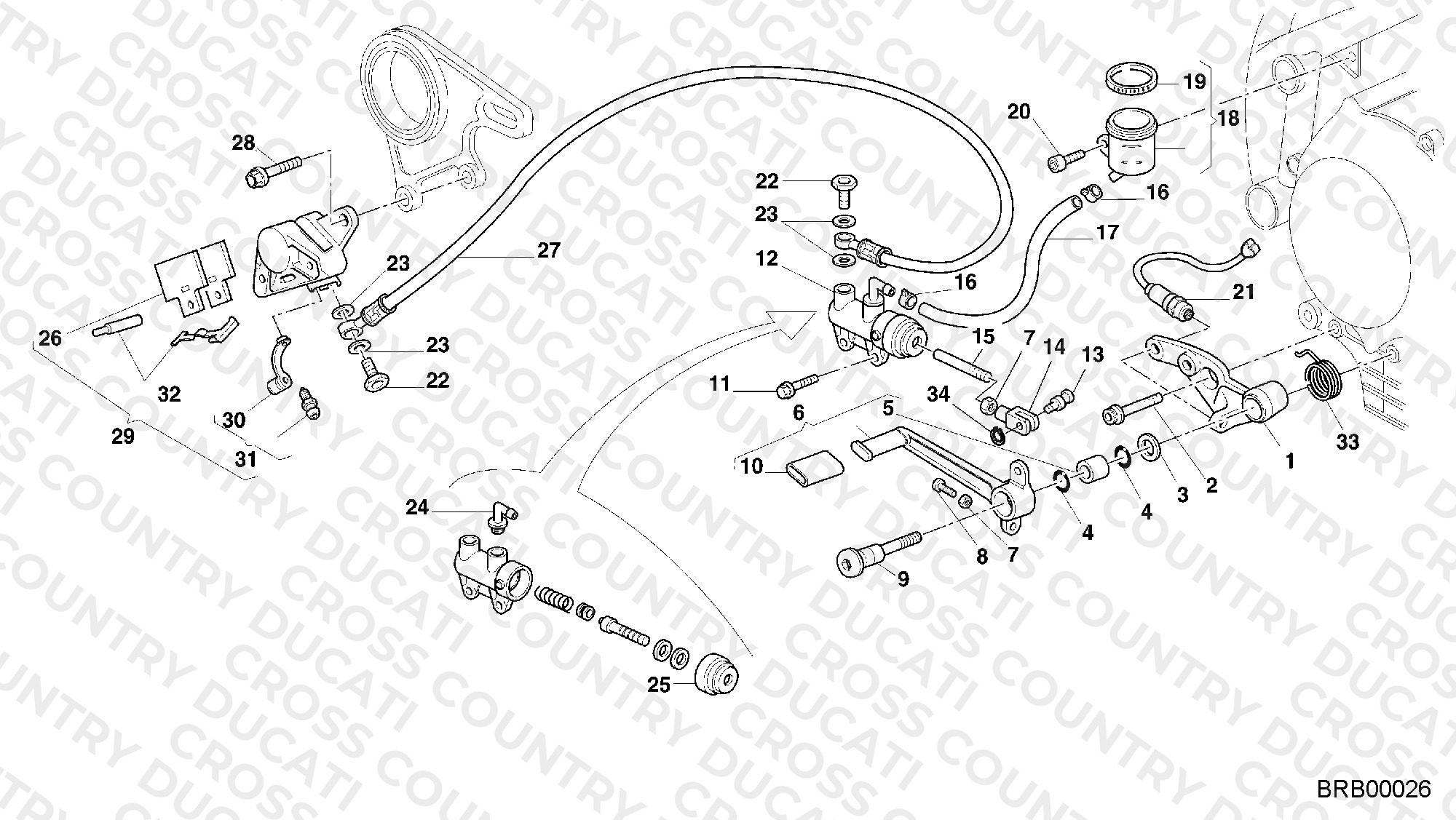 Rear Brake System