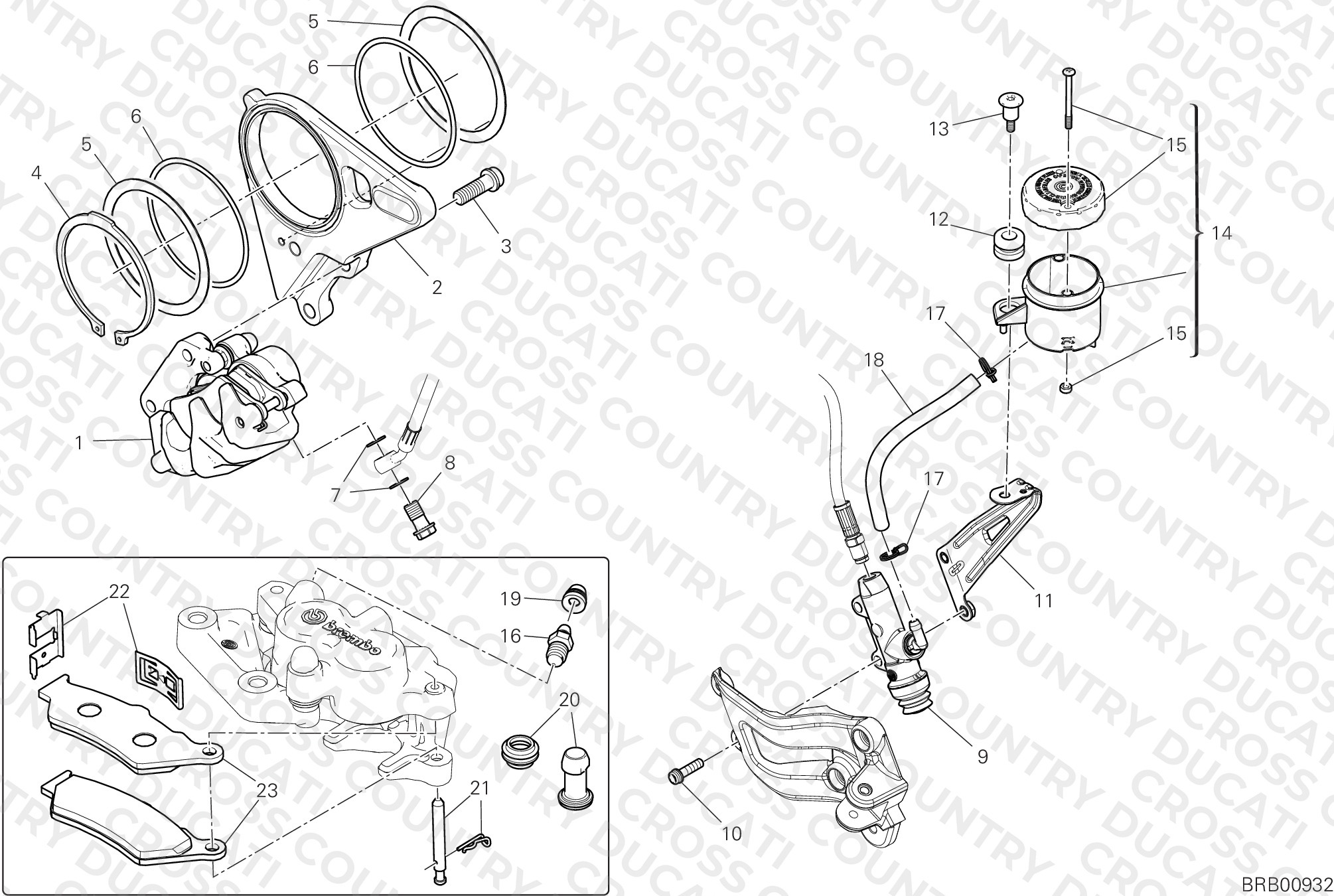 Rear Brake System