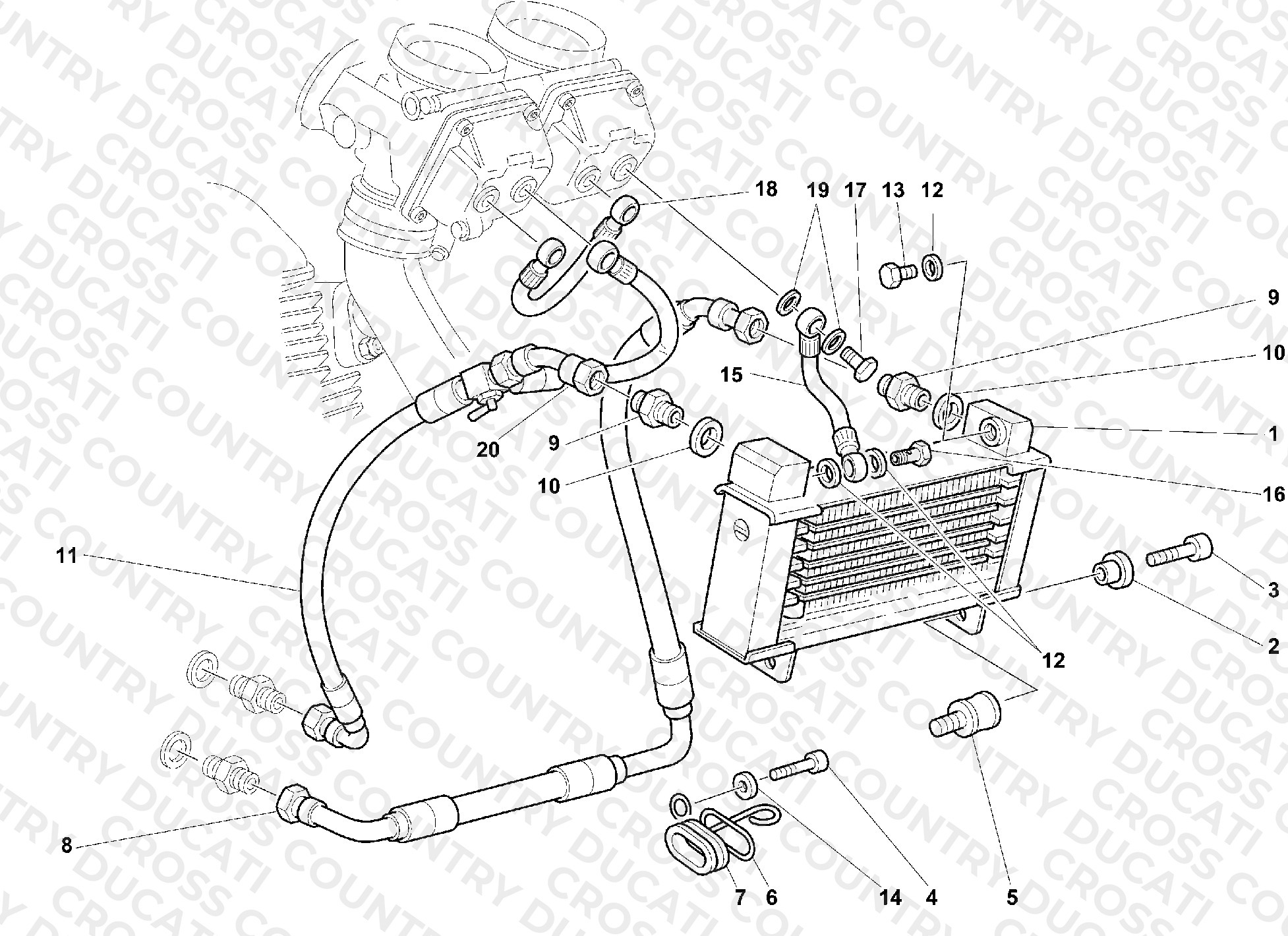 Oil Cooler