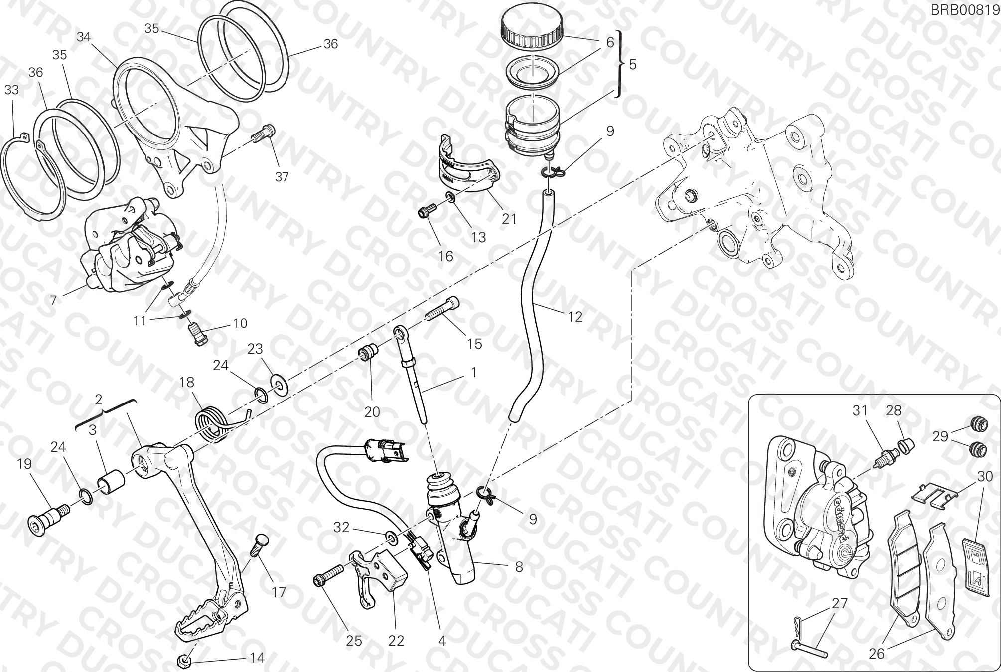 Rear Brake System