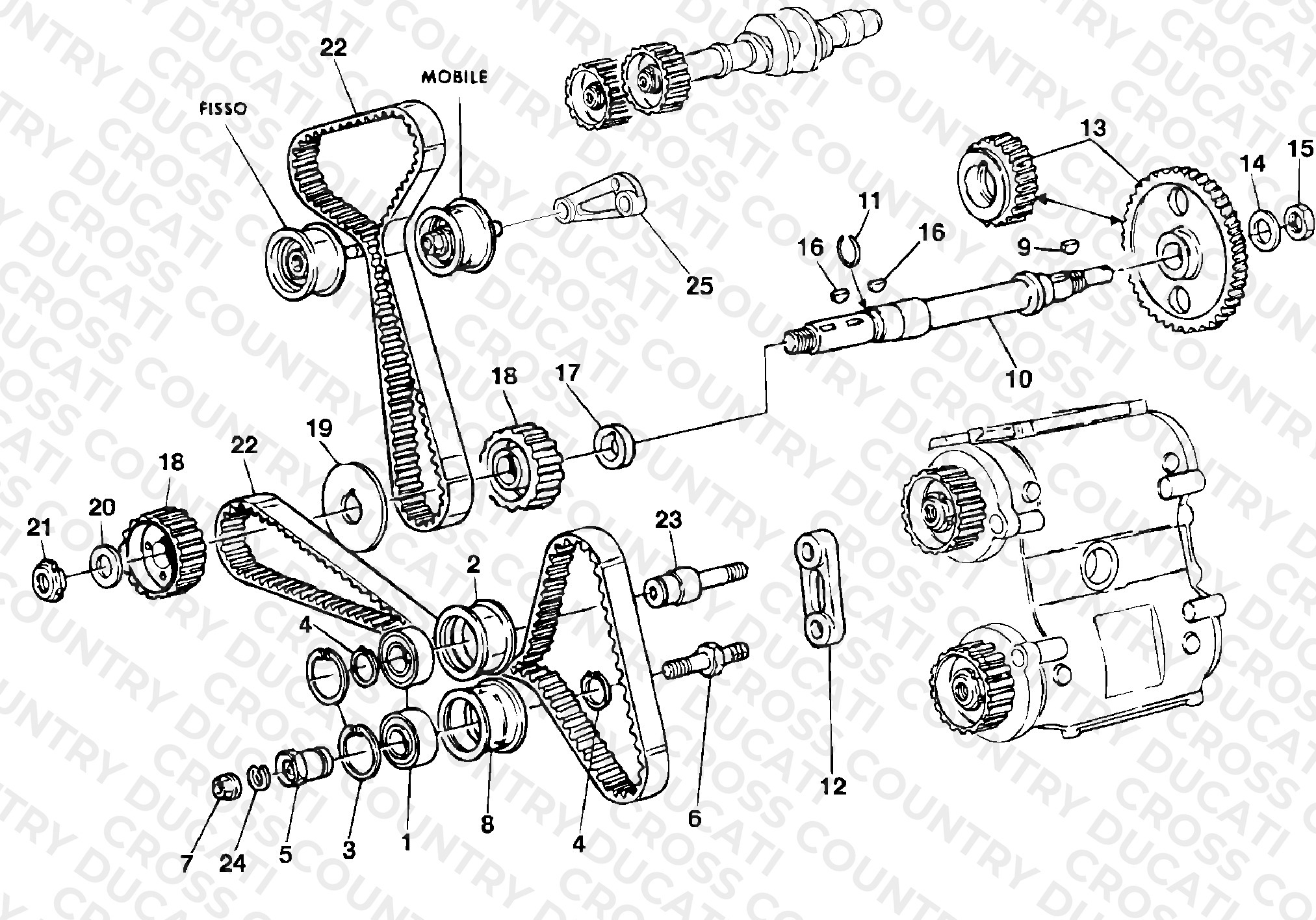 Timing Belt
