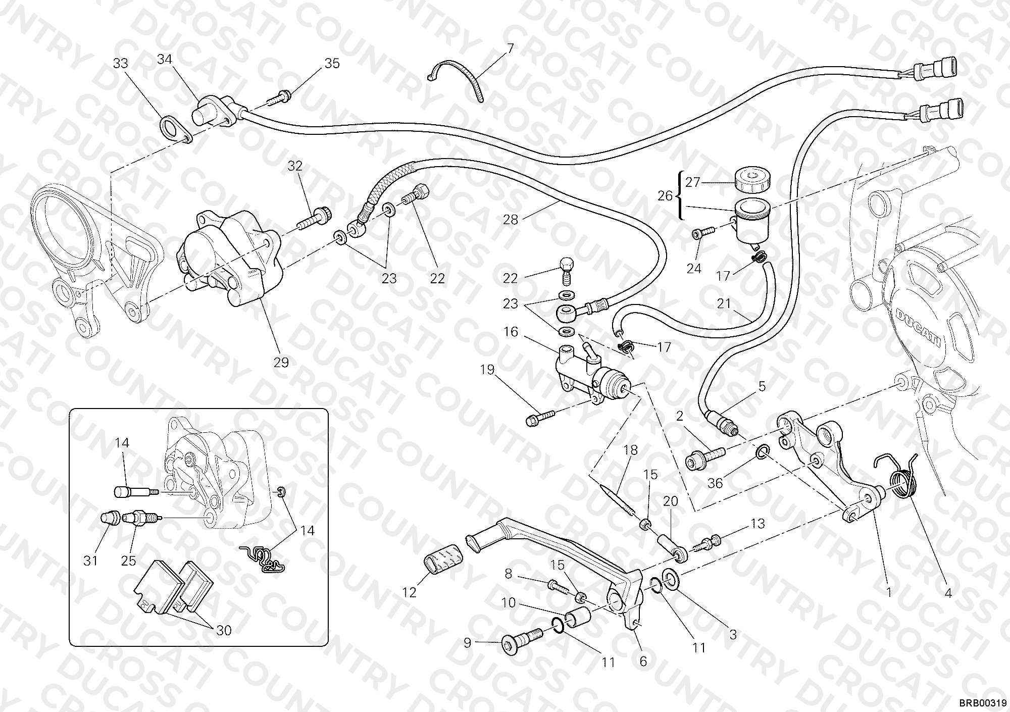 Rear Brake System