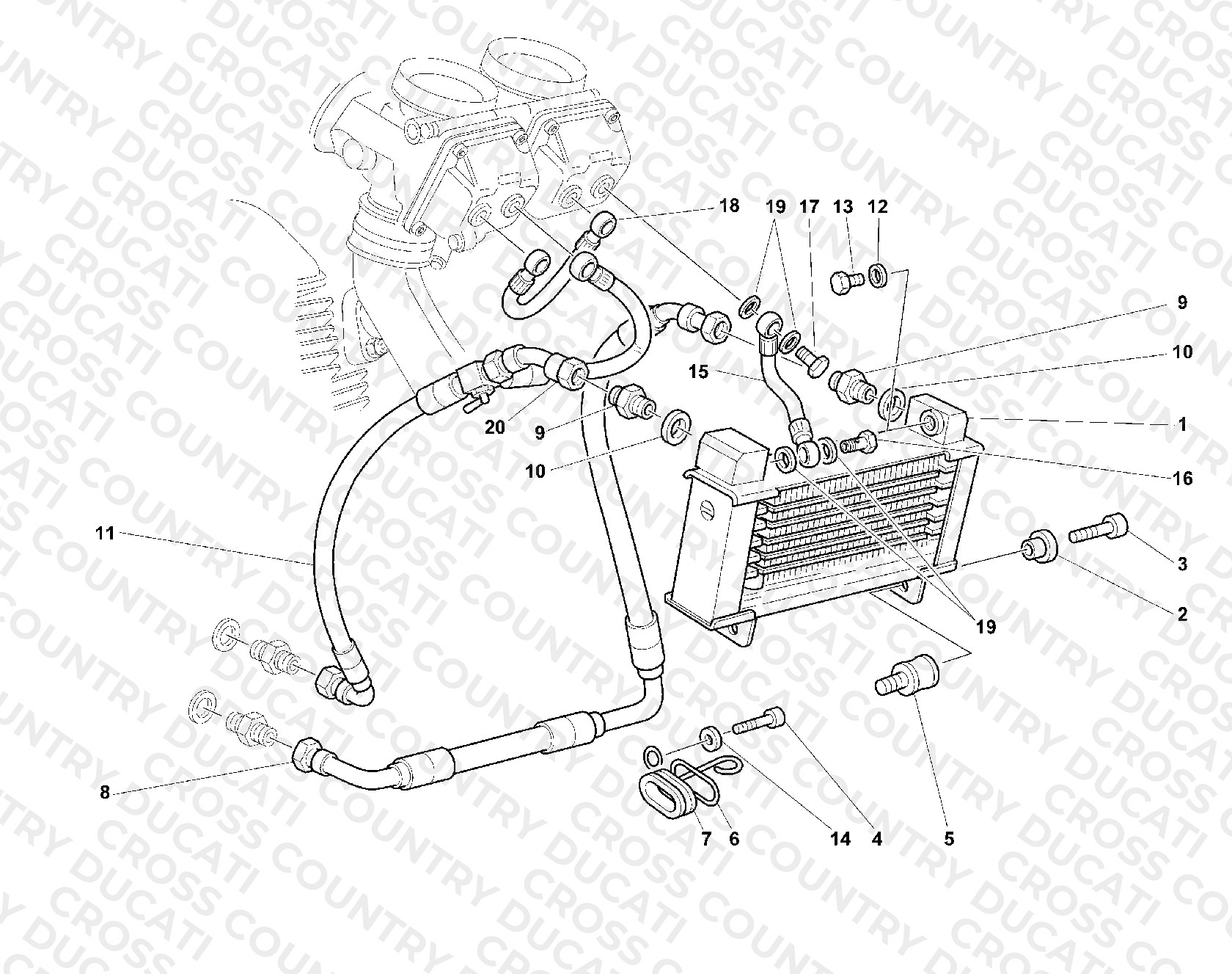 Oil Cooler