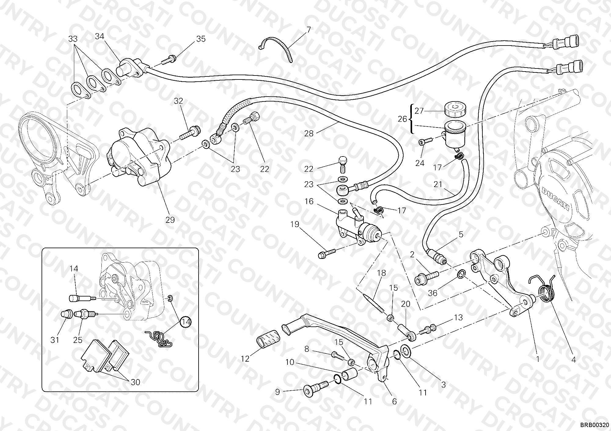Rear Brake System