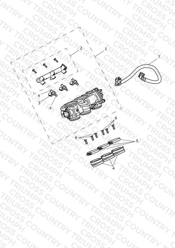 Throttles, Injectors and Fuel Rail