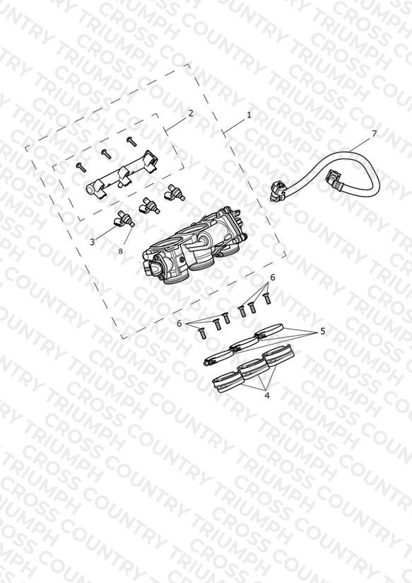 Throttles, Injectors and Fuel Rail