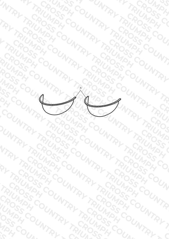 Auxiliary Lamp Visor Kit