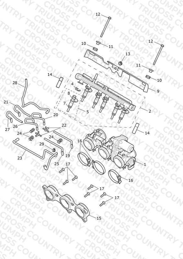 Throttles, Injectors & Fuel Rail