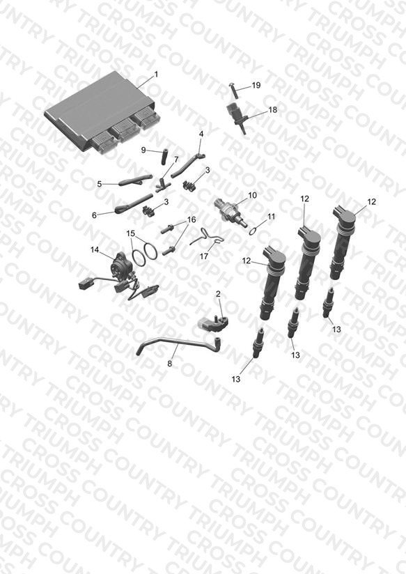 Engine Management
