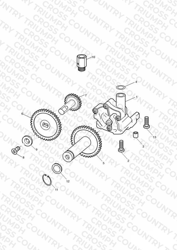 Oil Pump/Drive