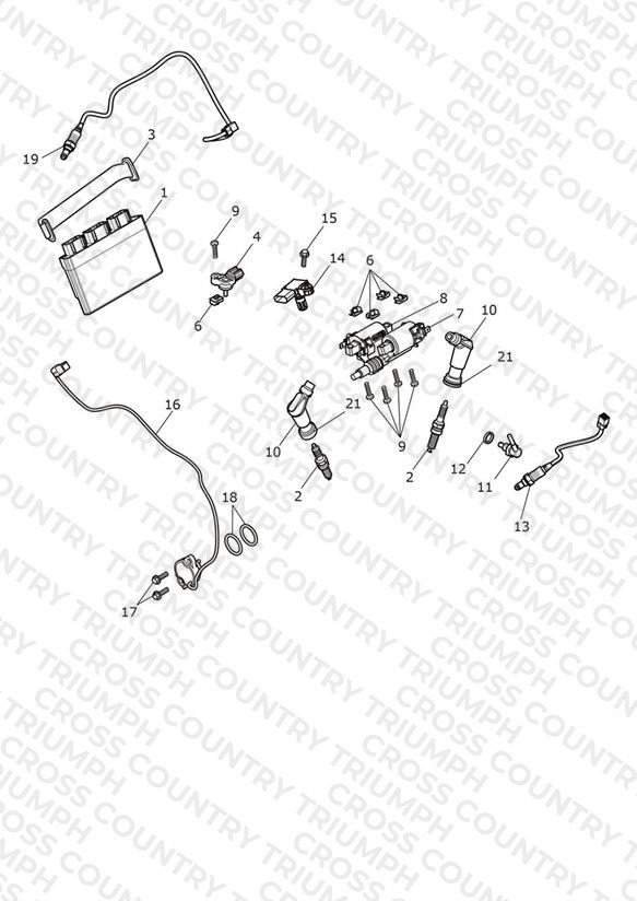 Engine Management System
