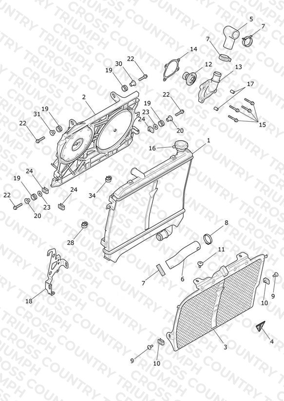 Radiator, Fan & Thermostat