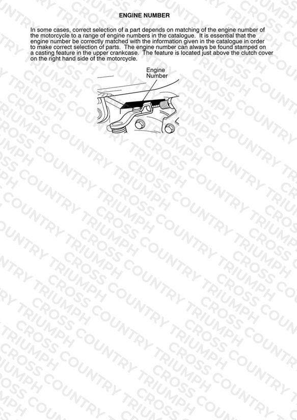 Tiger 1050 287504 > 570058