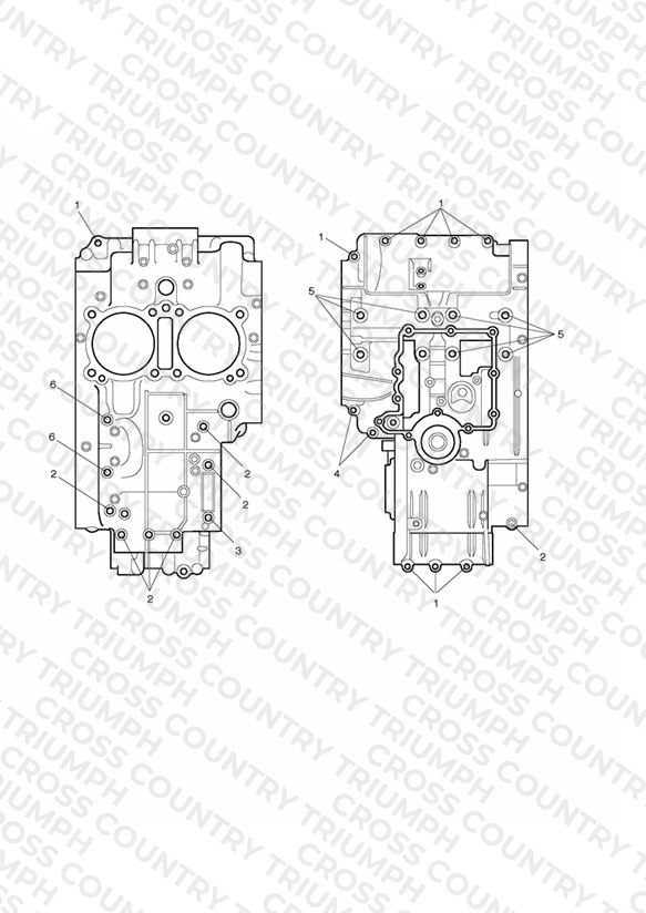 Crankcase Bolts