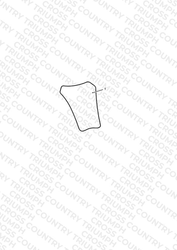 Tank Pad, Carbon