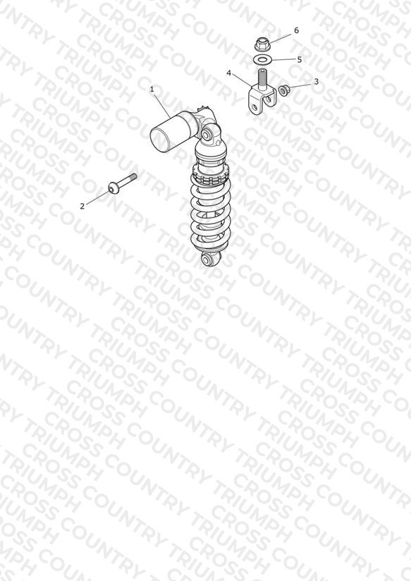Rear Suspension Unit