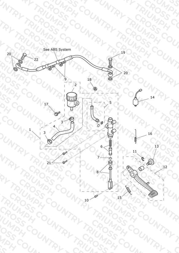 Rear Brake Master Cylinder, Reservoir & Pedal
